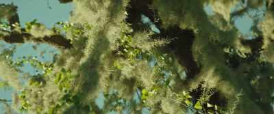 Staggering around
with needles - Citizen Bio