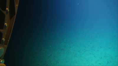 Stai zitto! Sei superfluo.
Mi sono spiegato? - Deep Rising