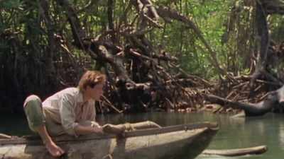 ♪ Stalked in the forest
too close to hide  ♪ - Duran Duran: There's Something You Should Know
