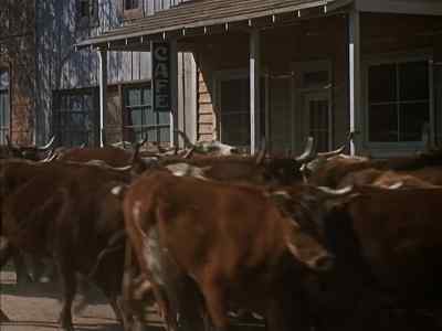 - Stampede!
- Stampede! - The Time Tunnel