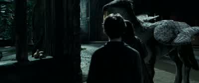 Stand back, I said! - Harry Potter and the Prisoner of Azkaban