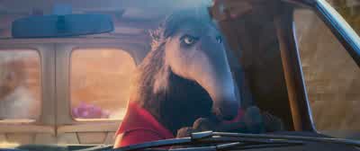 Stand down, noobs. - Zootopia 2