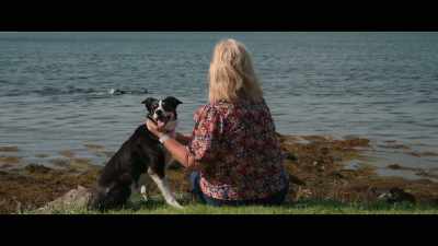? Stand with the
legs of a heron ? - Billy & Molly: An Otter Love Story