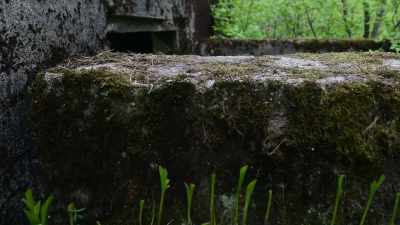 Standard procedure
for a facility like this - Secret Nazi Ruins
