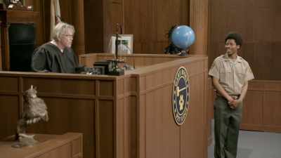 ...stands for
Self-Imposed Nonsense. - Gary Busey: Pet Judge