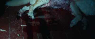 [Stanley moaning] - It Comes at Night
