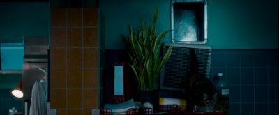 Stanley. - The Autopsy of Jane Doe