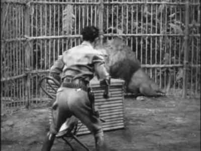 [Stanley screams] - Africa Screams