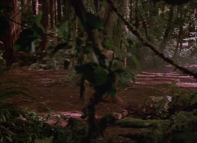 Star cruiser crash crash - Ewoks: The Battle for Endor