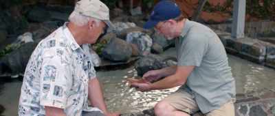 Starfish is an echinoderm ... - Is Genesis History?