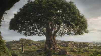 Stark, we really need to get inside. - Mufasa: The Lion King