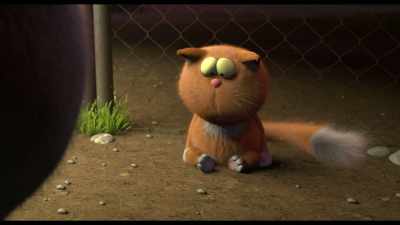 - Start with you also.
- Where are you talking? - Spy Cat