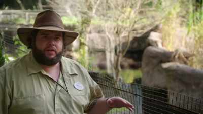 Started off a little bit rocky,
but towards the end, - Magic of Disney's Animal Kingdom