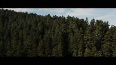 Starting in the '80s, - Sasquatch