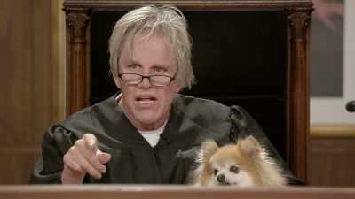 Starts with an "L." - Gary Busey: Pet Judge