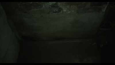 [static crackling] - Hell House LLC III: Lake of Fire