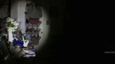 (static hissing) - The Fear Footage