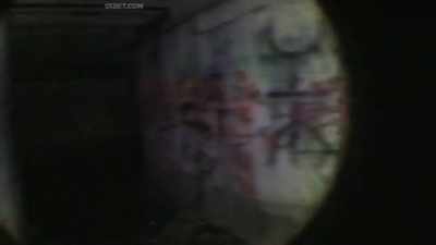(static) - The Fear Footage