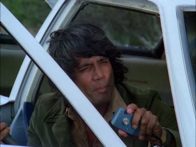 STAY BACK, PIGS. - Hawaii Five-O