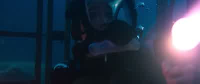 Stay down. - 47 Meters Down