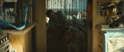 Stay here. - Finch