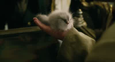 Stay here. - Dolittle