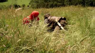 Stay low and don't move. - Legend of the Seeker
