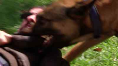 Stay still,
don't move, junior. - Reno 911!