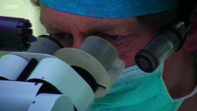 Stay still. - Surgeons: At the Edge of Life