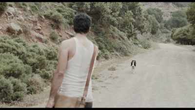 Stay there! Don't follow me!
Stay! - Zagros