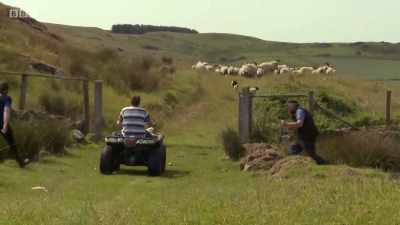 Stay there! Stay! Stay! - Chronicles of the Glens