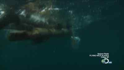 STAY THERE.
STAY THERE. - Man vs. Wild