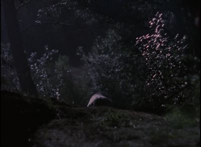 Stay with 'em. Come on.
Go, go, go, go! - Quantum Leap