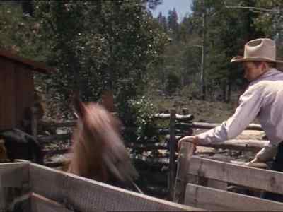 Stay with her, Tim. - My Friend Flicka