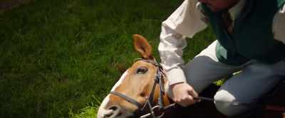 Steady! Steady, Dream. - Dream Horse