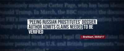 Steel alleged that Trump
Had multiple prostitutes - Government Gangsters
