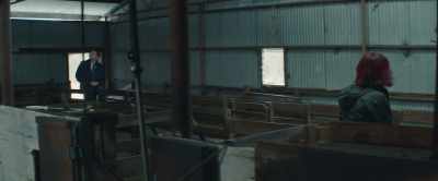 Steel cladding - - Rams