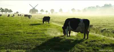 Steep cuts in methane emissions
can slow global warming - Eating Our Way to Extinction