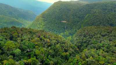 Steep hills provide a last refuge
to Leuser's most endangered creature... - Our Great National Parks