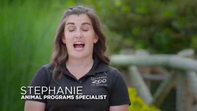Stephanie: I am so happy with
kesi, how she's doing today. - Secrets of the Zoo