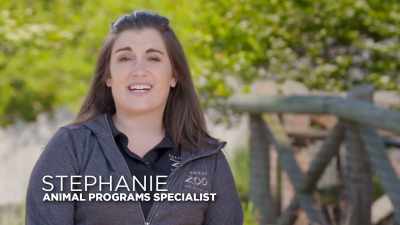 Stephanie: Randall is
our only male warthog - Secrets of the Zoo