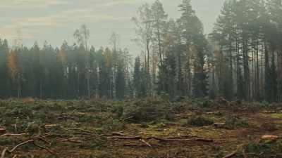 STEPHEN: All of these
mammoth mega fires, - Bring Your Own Brigade
