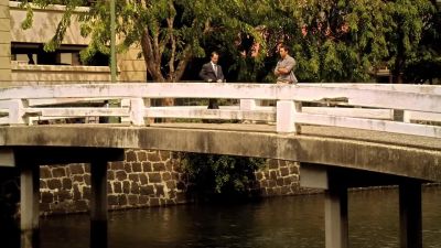 Stephen McGarrett? - Hawaii Five-0