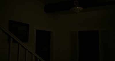Stepping around softly
behind a curtain of dark. - I Am the Pretty Thing That Lives in the House