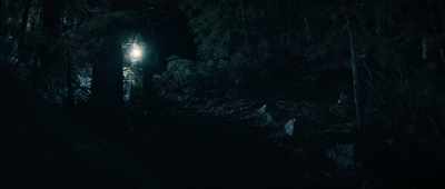 [STEPS REACHING] - Stranger in the Woods