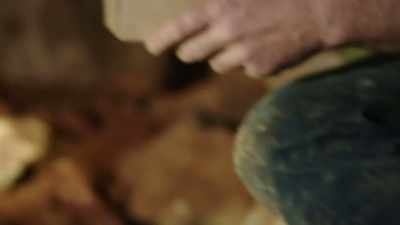 Steve has found the skull
of an extinct kangaroo, - Modern Dinosaurs