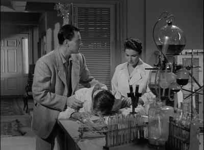 Steve, get me some water, will you? - Tarantula