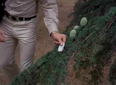 Steve? Maybe
he didn't come this way. - The Six Million Dollar Man