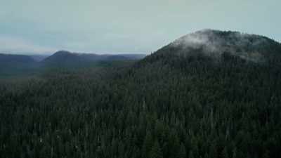 [Steve] Melissa would call. - Lost Women of Highway 20