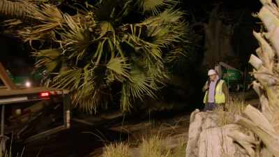 STEVE: Now we're going to put it up,
so we'll see how this goes. - Magic of Disney's Animal Kingdom